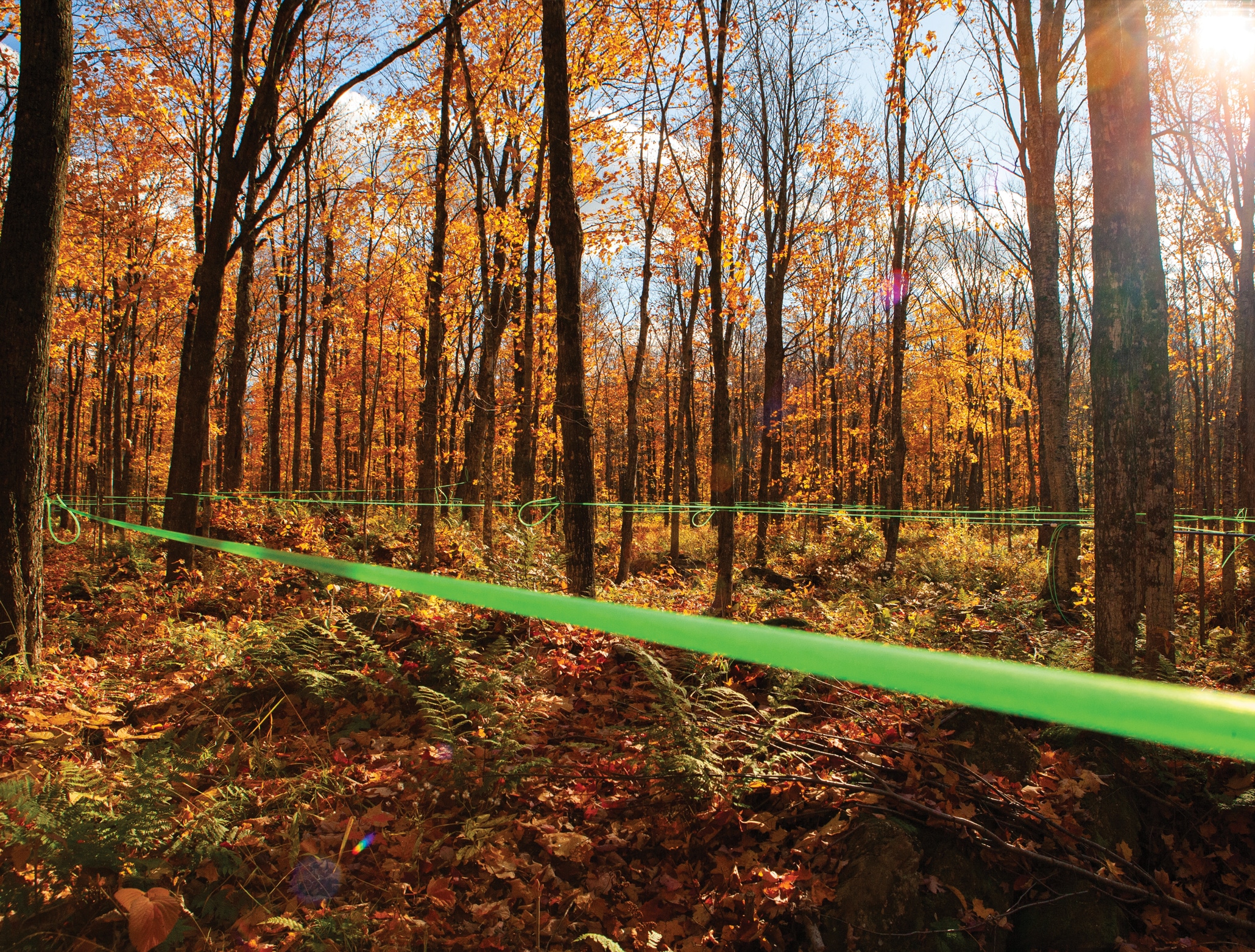 PromoAutomne_Slider Lapierre_Promo Automne