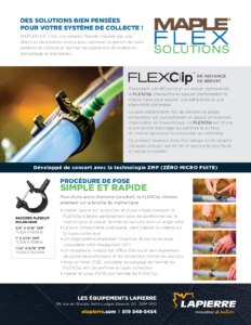 Flyer FlexClip 08-2020