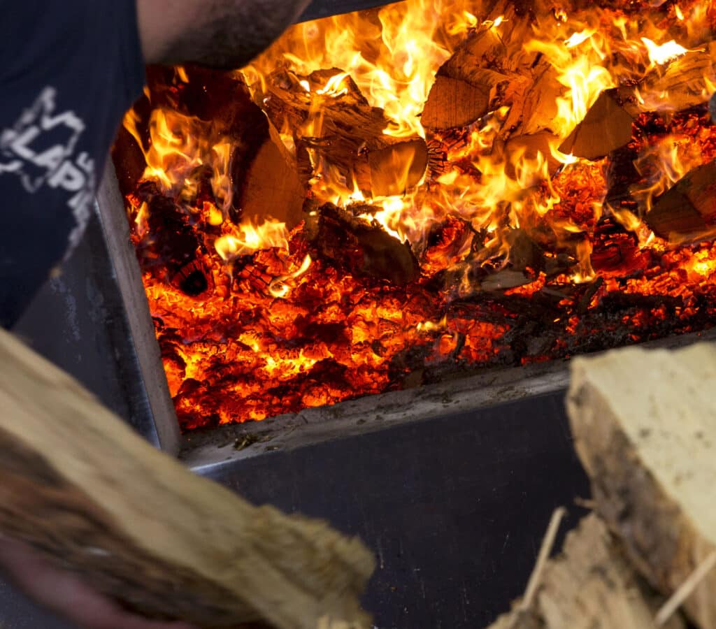 bois dans le feu